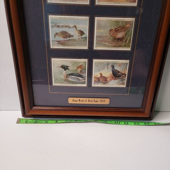 Players Cigarette Cards Game Birds & Water Fowl - Picture 11 of 11
